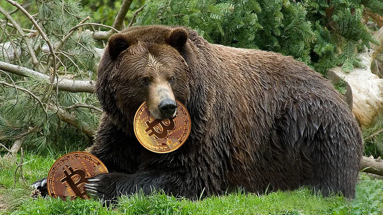 Các chuyên gia tin rằng "phe gấu" đã hoàn toàn kiểm soát Bitcoin