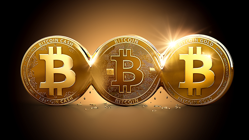 Vì sao 14/11 là một trong những ngày quan trọng nhất của Bitcoin?