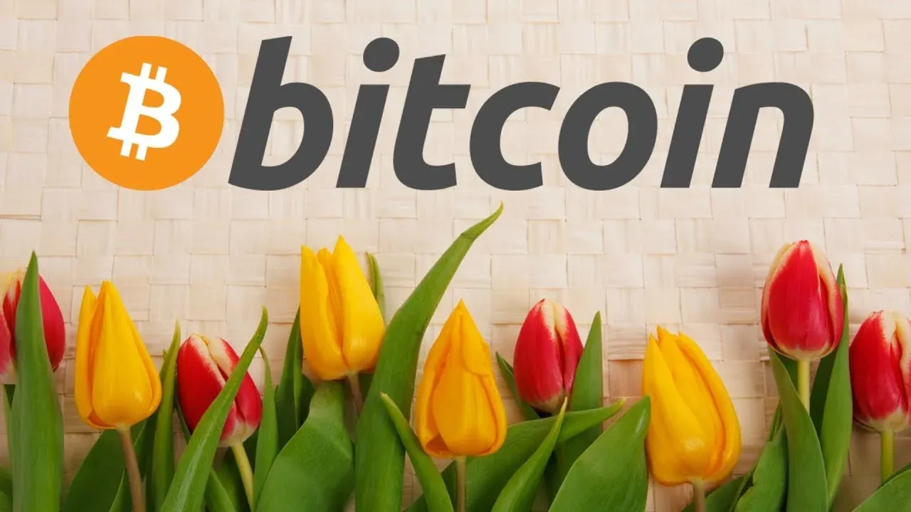 Bong bóng hoa Tulip và Bitcoin