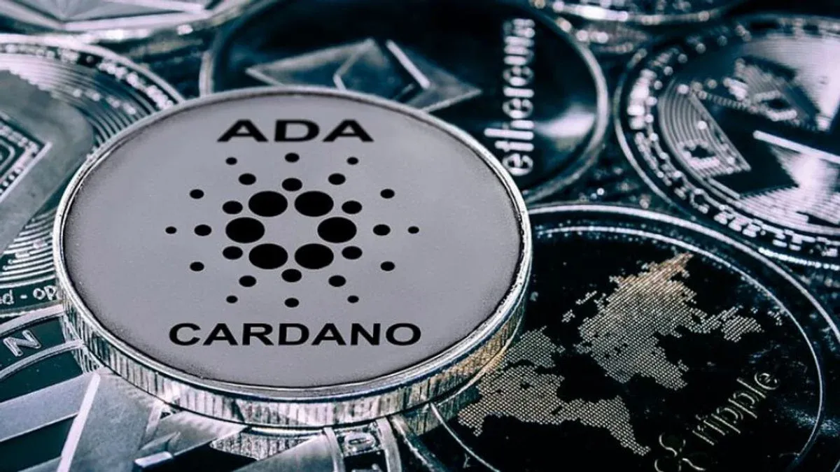 Cardano (ADA) trở thành blockchain được sử dụng nhiều nhất với mức phí thấp nhất