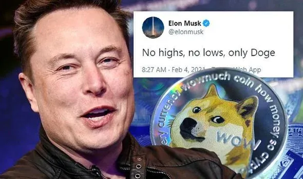 Elon Musk đề xuất thanh toán bằng Dogecoin cho dịch vụ của Twitter, DOGE liệu có "bay" một lần nữa?