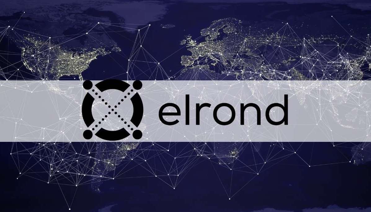 Skynet EGLD huy động 40 triệu USD để đầu tư vào hệ sinh thái Elrond