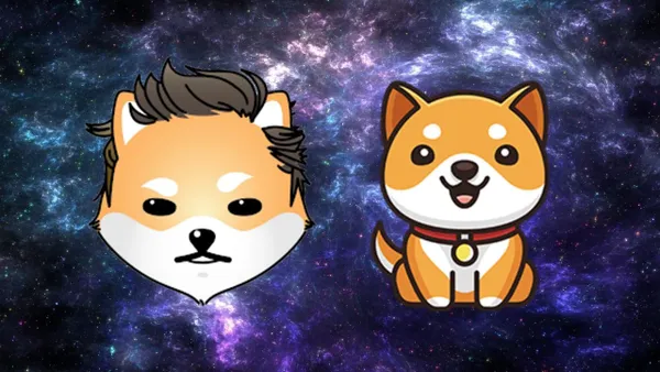 Shiba Inu và BabyDoge - Đồng memecoin nào sẽ đạt được 1 triệu người sở hữu đầu tiên?