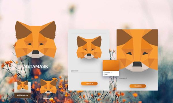 Giao dịch tăng cao trên MetaMask và Polygon sau tin đồn Airdrop khủng