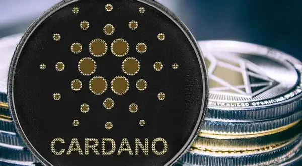 “Cá mập” Cardano bổ sung gấp đôi vị thế bấp chấp sự suy thoái của ADA