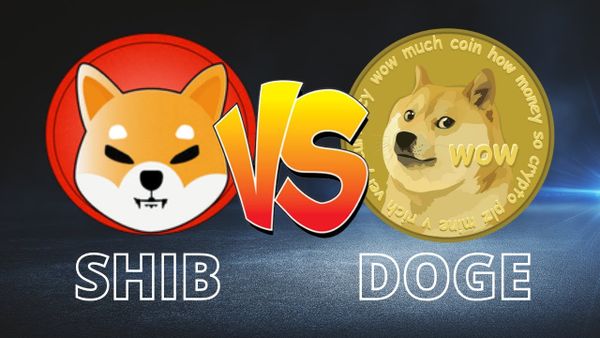 Siêu sao UFC Chuck Liddell chọn Shiba Inu hay Dogecoin?